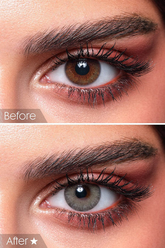 Gray Olive - Image 4