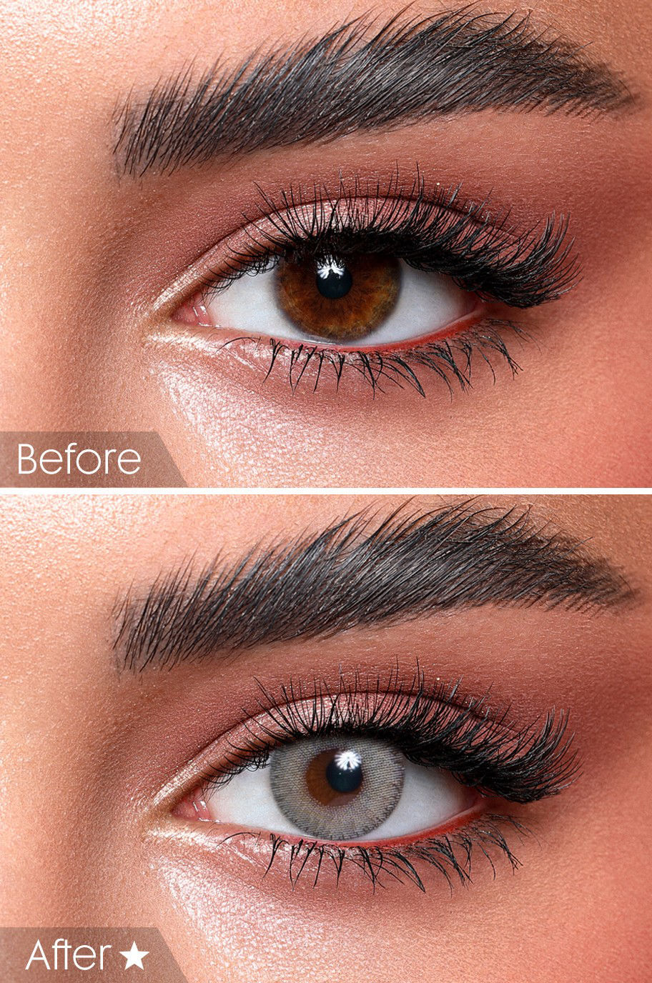 Gray Olive - Image 3